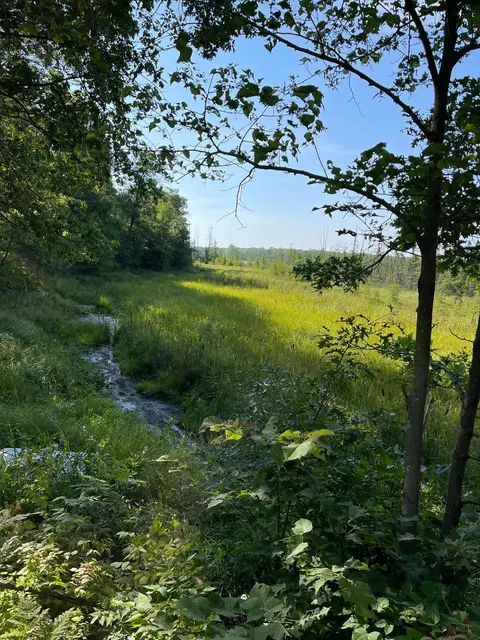 5810 Oregon Trl, Roosevelt Twp, MN 56450 photo 21