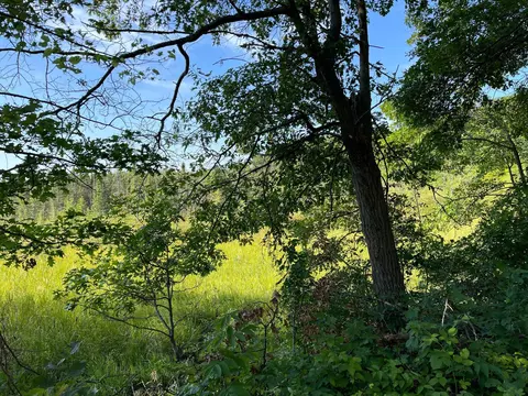 5810 Oregon Trl, Roosevelt Twp, MN 56450 photo 22