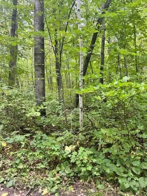 Nnn Chipmunk Pass, Cushing Twp, MN 56443