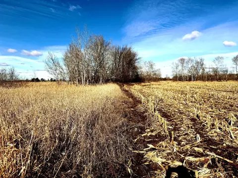 tbd 2039ac 80th St, Bogus Brook Twp, MN 56353
