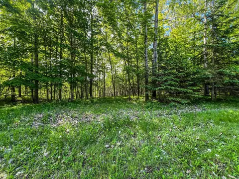 tbd Tract D Damsgaard Rd, Bay Lake Twp, MN 56444