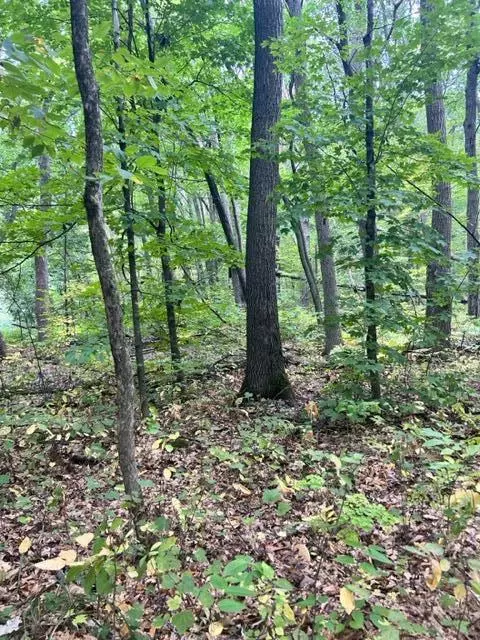 Nnn Pebble Pass, Cushing Twp, MN 56443