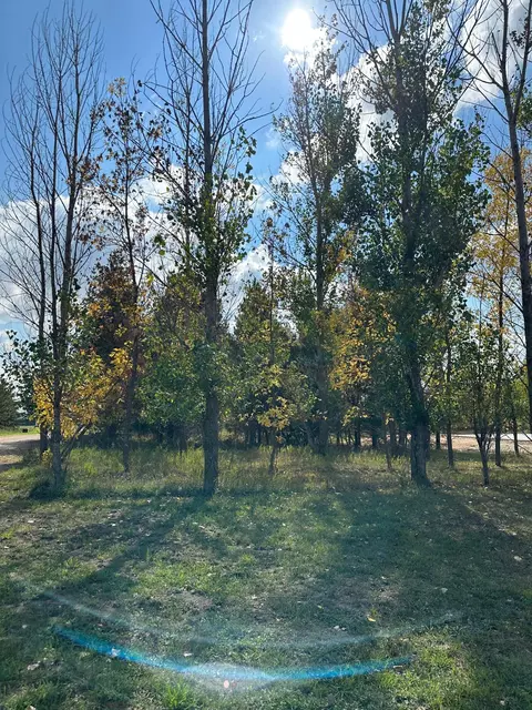lot Apt 8 Lidstrom Rd, Detroit Twp, MN 56501