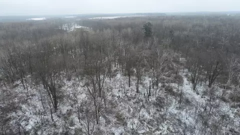 0 Irvine Dr, Radisson, WI 54862 photo 3