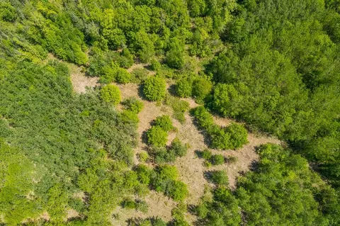 View/Area - lot29 Sanctuary Path, Brainerd, MN 56401 photo 53 of 75