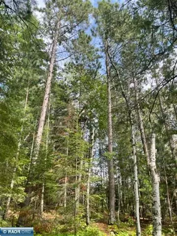 95816 Pine Is, Tower, MN 55790 photo 15