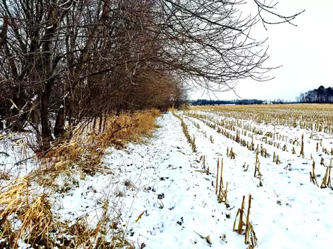 tbd 204ac 80th St, Bogus Brook Twp, MN 56353