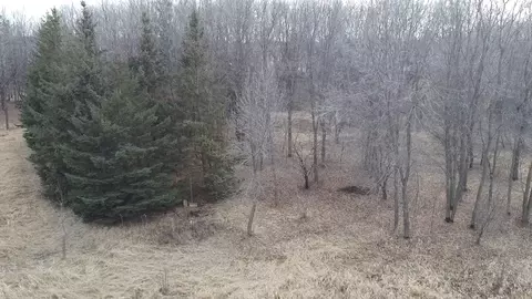 Other - 6699 Bridle Path, Corcoran, MN 55340 photo 13 of 14
