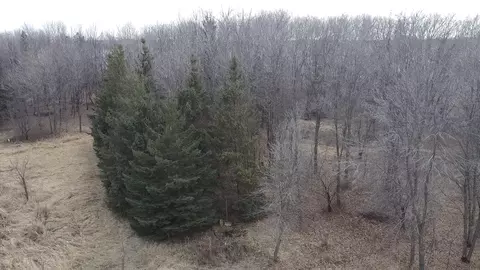 View/Area - 6699 Bridle Path, Corcoran, MN 55340 photo 2 of 28