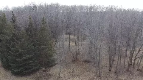Other - 6699 Bridle Path, Corcoran, MN 55340 photo 14 of 14