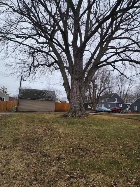 Exterior - 512 Saint Thomas Ave, Albert Lea, MN 56007 photo 11 of 13