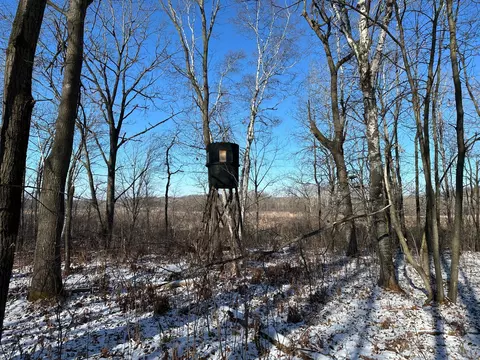 Nn 153rd Street, Mt. Morris Twp, MN 56338