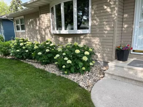 Exterior - 803 Brian St, Marshall, MN 56258 photo 9 of 11