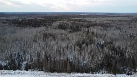 tbd County Road 77, Littlefork, MN 56653