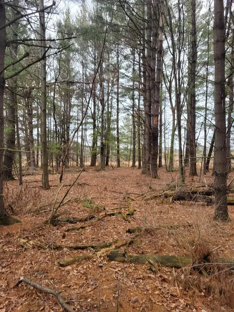 lot2 3 N2978 Us Highway 12, Humbird, WI 54746