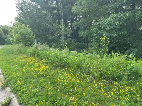 tbd Lot 3 5th St S, Walker, MN 56484