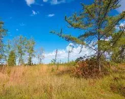 2710 Florence Ln NW, Bemidji, MN 56601