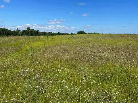 tbd Radar Rd NW, Bemidji, MN 56601