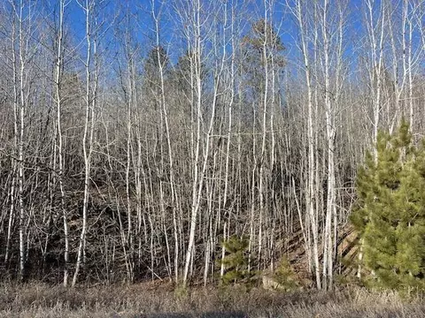 tbd Fenwick Cir, Park Rapids, MN 56470