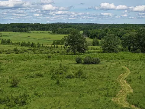 tbd County Rd 1 SW, Pequot Lakes, MN 56472