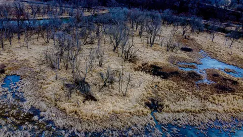 0 River Rd, Arcadia, WI 54612