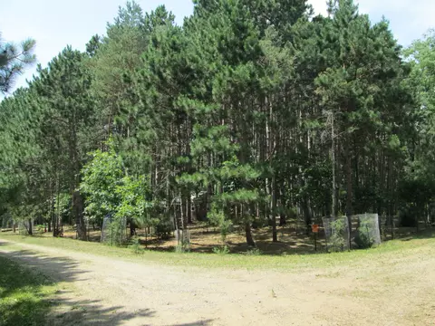 14624 662nd St, Greenfield Twp, MN 55981