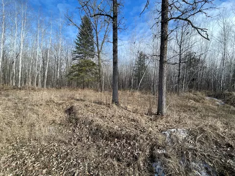 44894 315th Ave, Laporte, MN 56461 photo 7