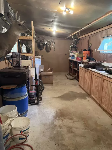 4904 Main St E, Maple Plain, MN 55359 photo 24