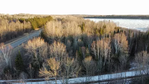 tbd State Highway 6, Bigfork, MN 56628