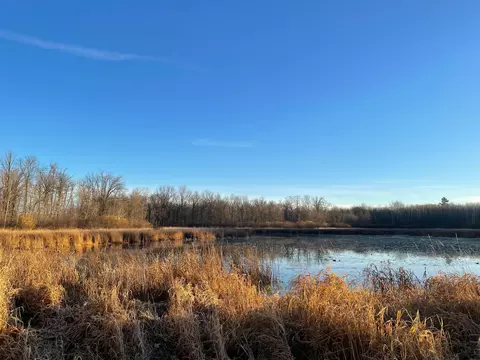 tbd Silver Brook Rd, Farden Twp, MN 56633