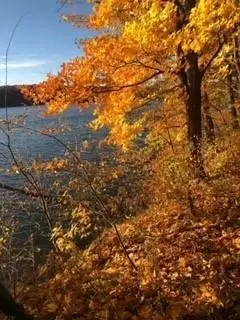 lot29 Deer Lake Ln, Meteor Twp, WI 54835
