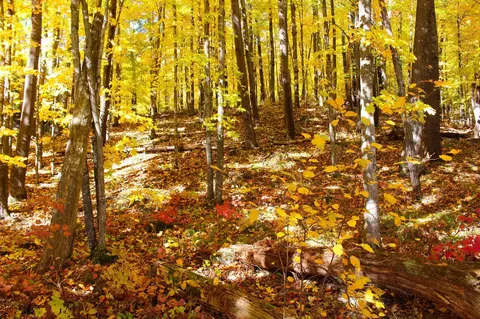 lot30 Deer Lake Ln, Birchwood, WI 54835