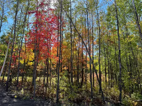 Tbd Ridgeway Lane, Walker, MN 56484 photo 2