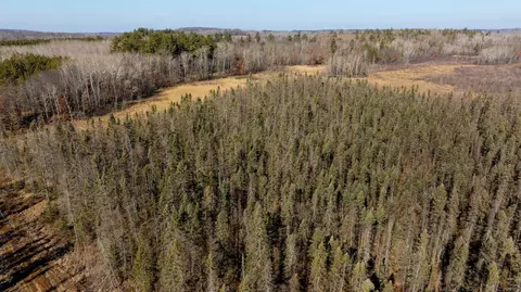 4498 State 210 SW, Pillager, MN 56473