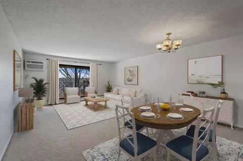 10441 Greenbrier Rd #313, Minnetonka, MN 55305