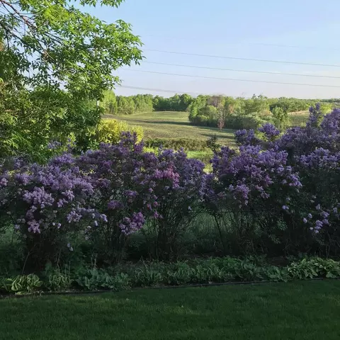 View/Area - 736 Caribou Ln, Eagan, MN 55123 photo 1 of 1