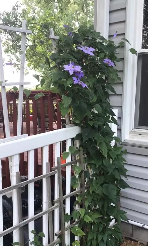 Other - 736 Caribou Ln, Eagan, MN 55123 photo 12 of 17