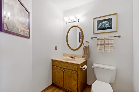 Bath - 736 Caribou Ln, Eagan, MN 55123 photo 4 of 5