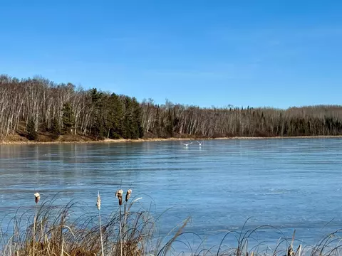 View/Area - 25350 Odonnell Ln, Bigfork, MN 56628 photo 14 of 15