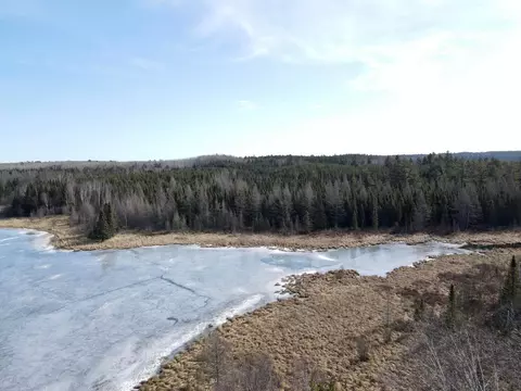 Other - 25350 Odonnell Ln, Bigfork, MN 56628 photo 6 of 9