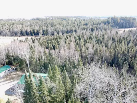 View/Area - 25350 Odonnell Ln, Bigfork, MN 56628 photo 15 of 15