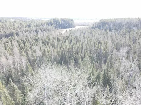 View/Area - 25350 Odonnell Ln, Bigfork, MN 56628 photo 12 of 15
