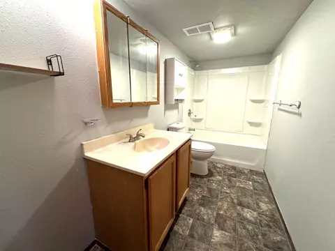 Bath - 547 River Bluff Dr, Windom, MN 56101 photo 1 of 2