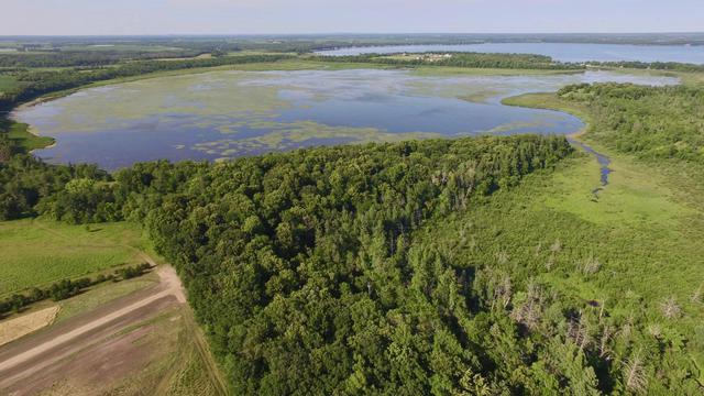 lot11 Turtle Bay Ln, Perham Twp, MN 56573