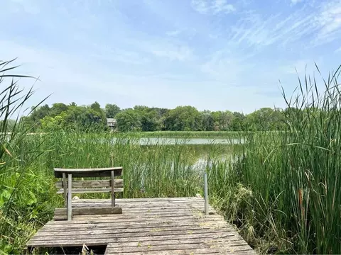 57710 226th St, Litchfield, MN 55355