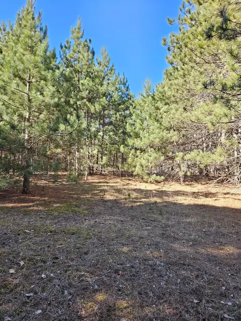 915 Scott Dr, Bashaw Twp, WI 54801 photo 3