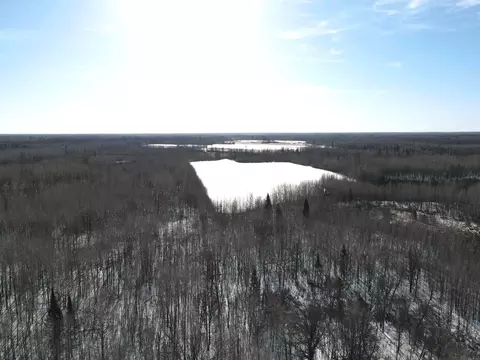 Tbd Town Hall Rd, Blackduck, MN 56630