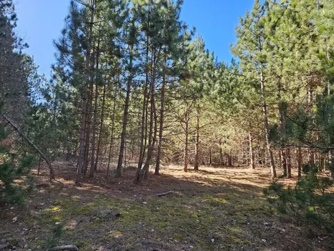 903 Scott Dr, Bashaw Twp, WI 54801 photo 3
