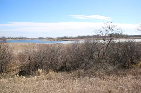 Nnnn 135th Street, Westport Twp, MN 56385