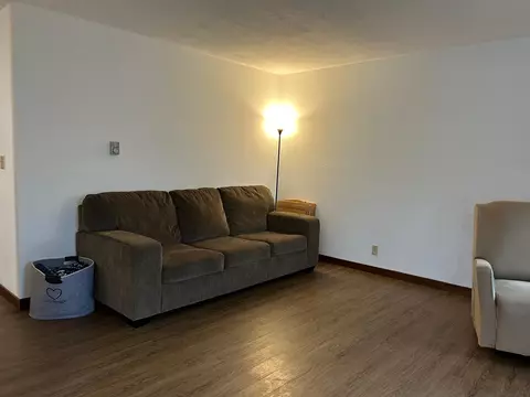 Living - 105 1st Ave SE, Plainview, MN 55964 photo 4 of 4
